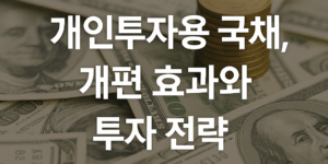 개인투자용 국채 개편효과