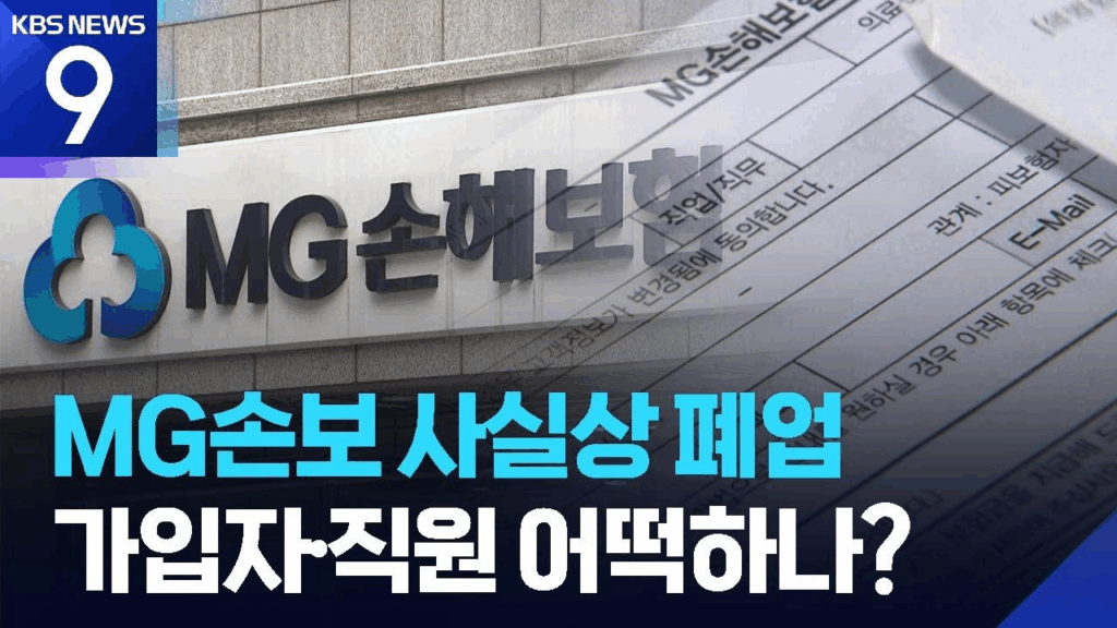mg손해보험 청산 뉴스