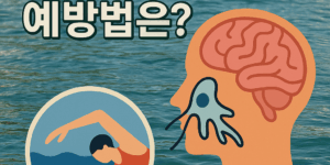뇌 먹는 아메바