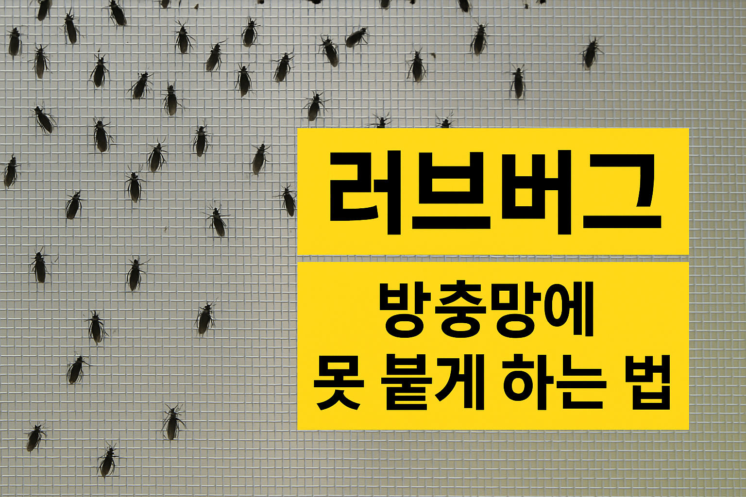 러브버그