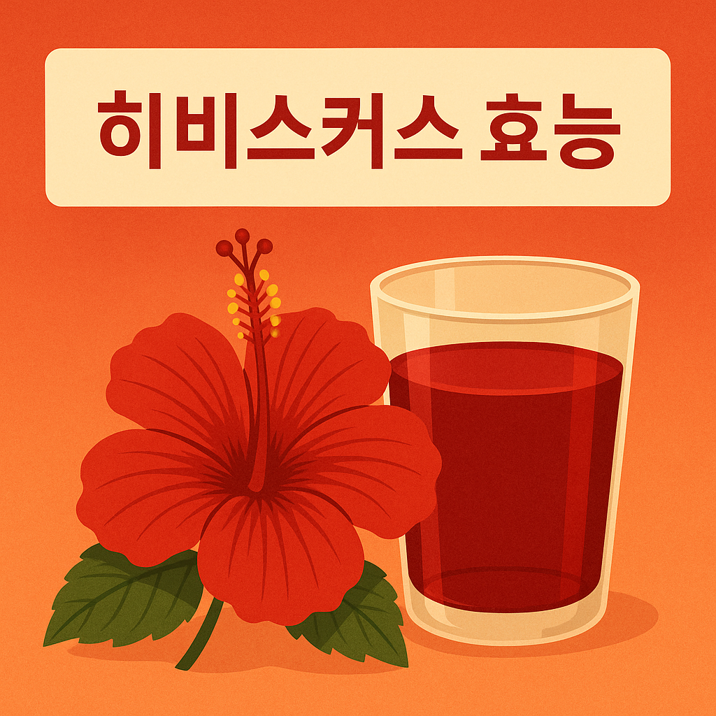 히비스커스 효능