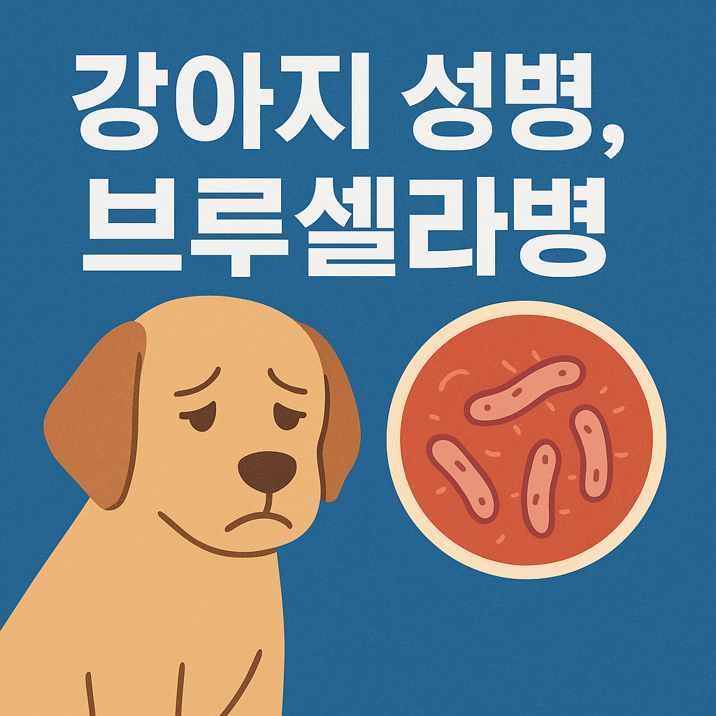 브루셀라병