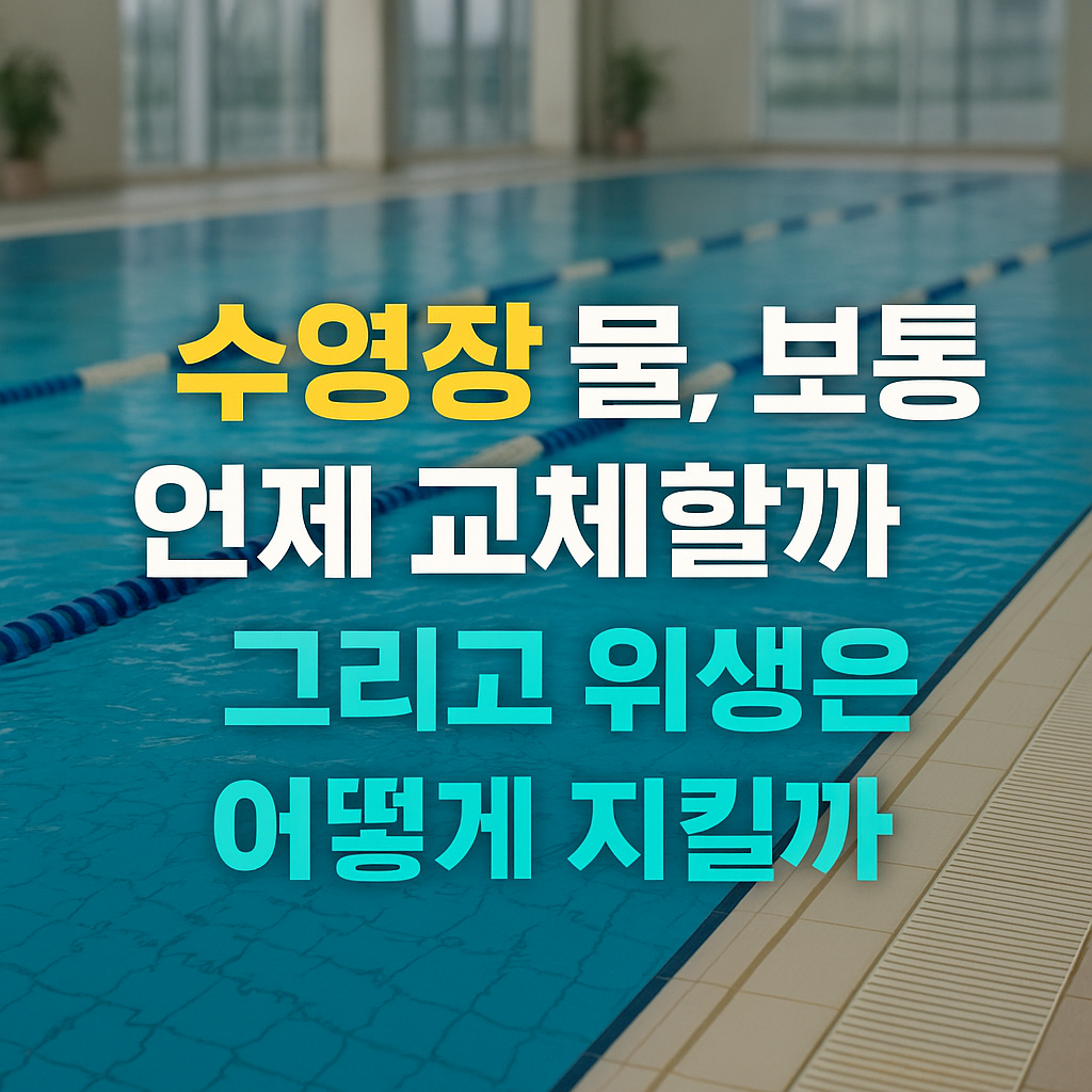 수영장 물 교체