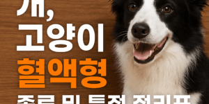 반려동물 혈액형