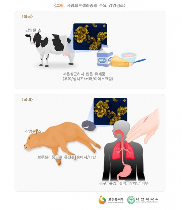 브루셀라병 감염경로